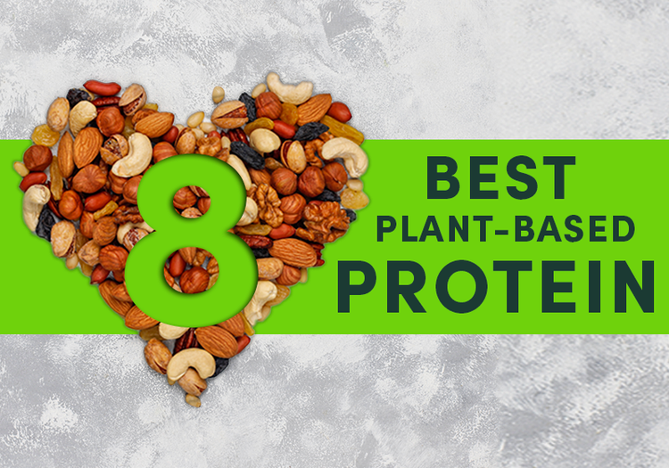 8 Best Plant Based Protein Sources 9930